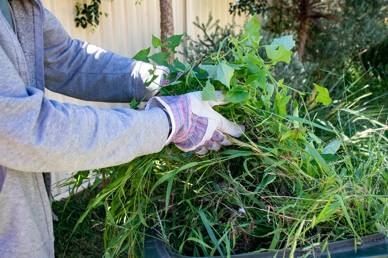 yard waste